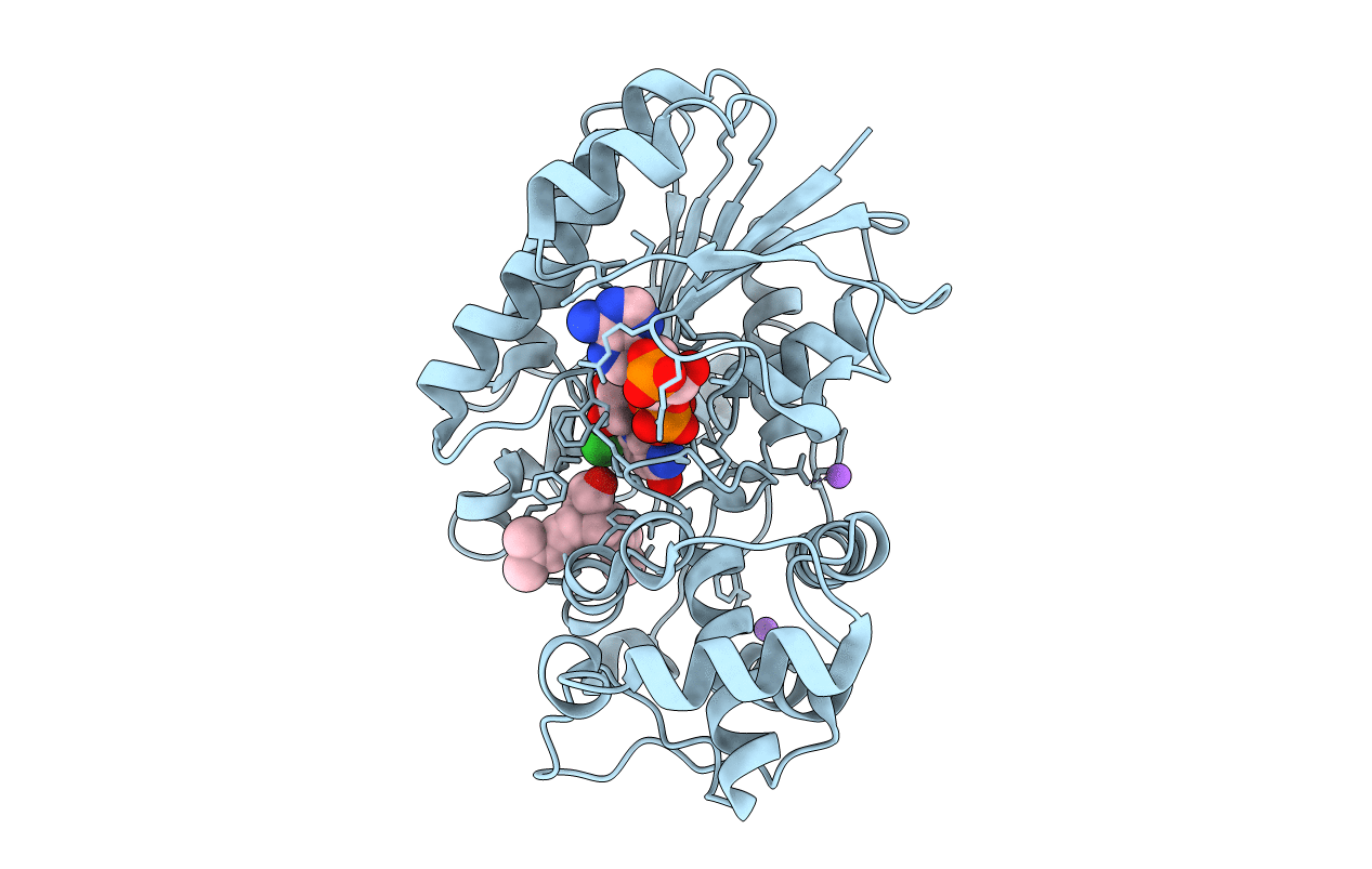 5MLR image