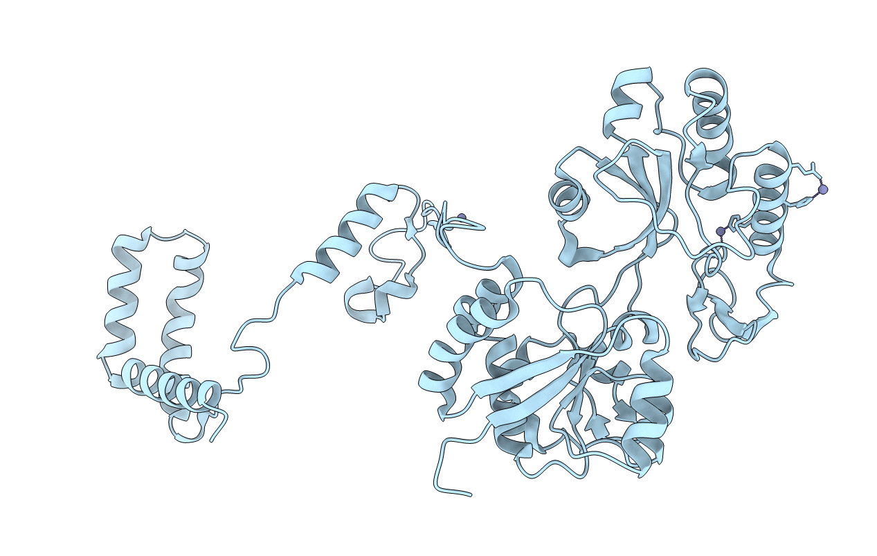 5MLT image