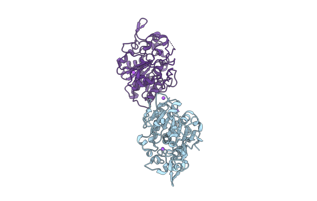 5MLX image