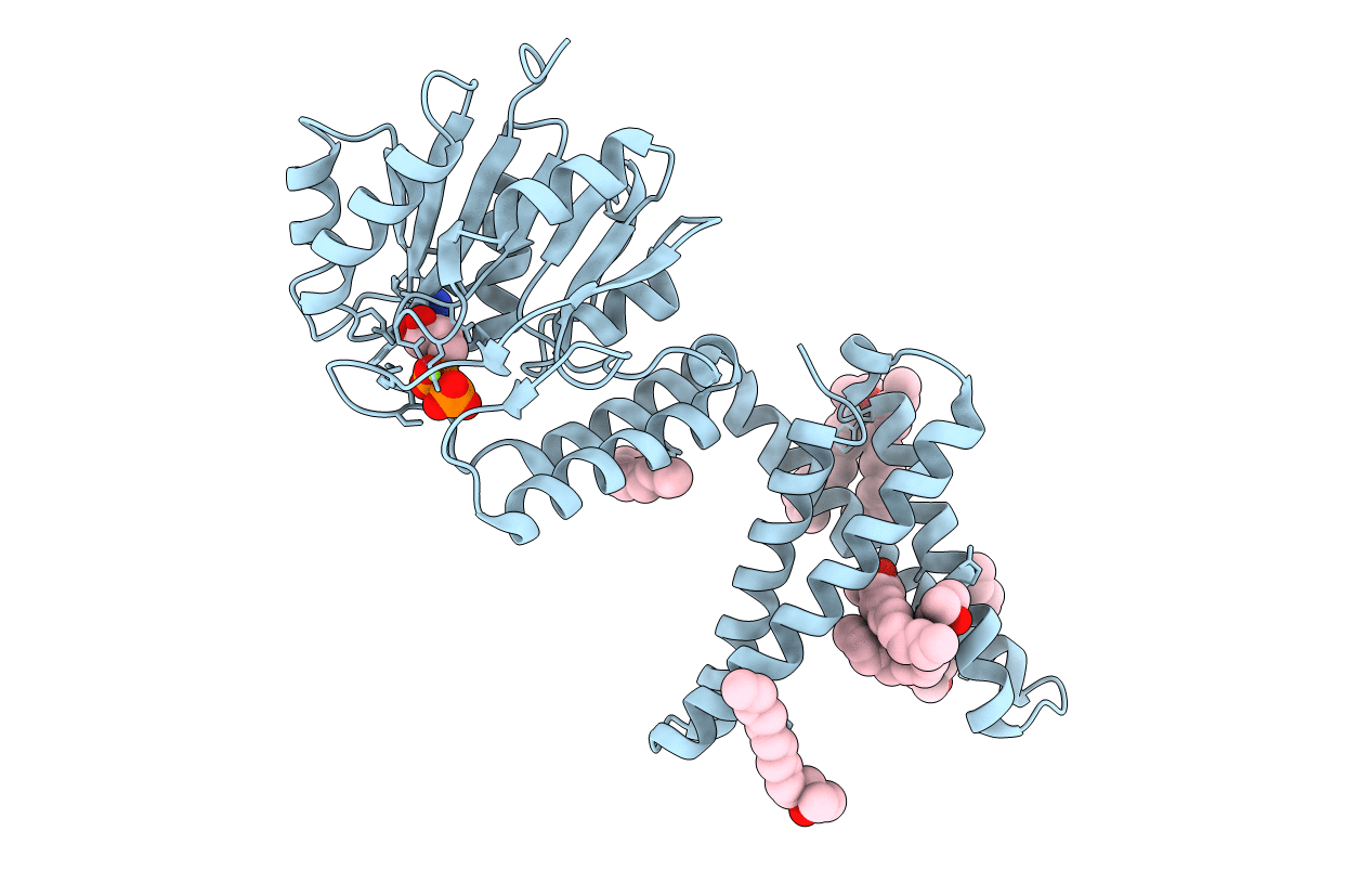 5MLZ image