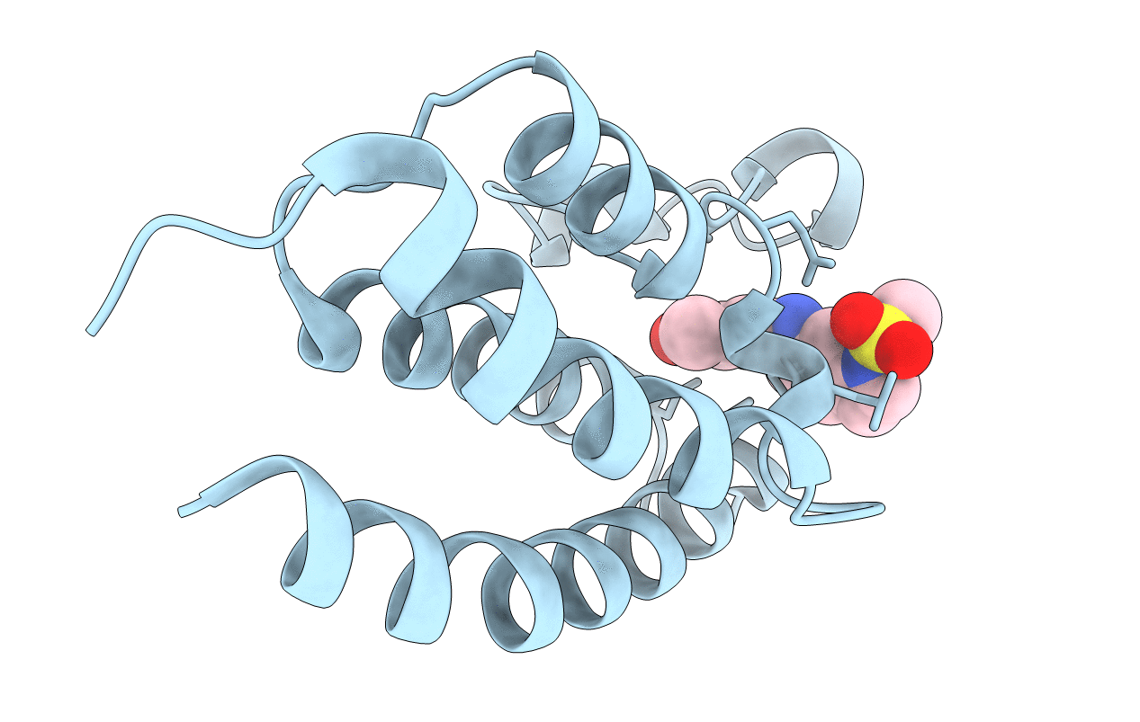 5MMG image