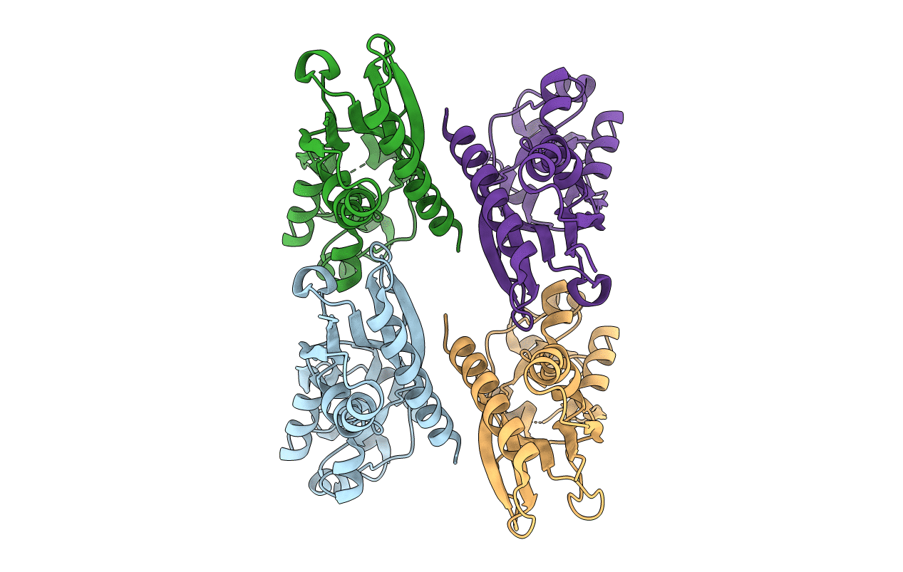 5MMH image