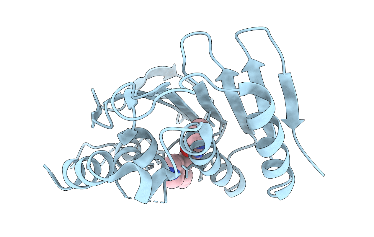 5MMP image