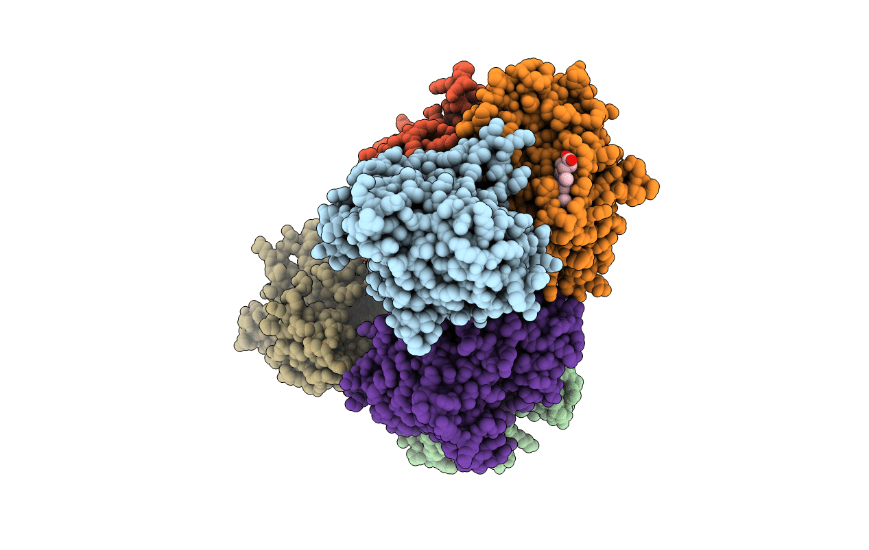 5MMS image