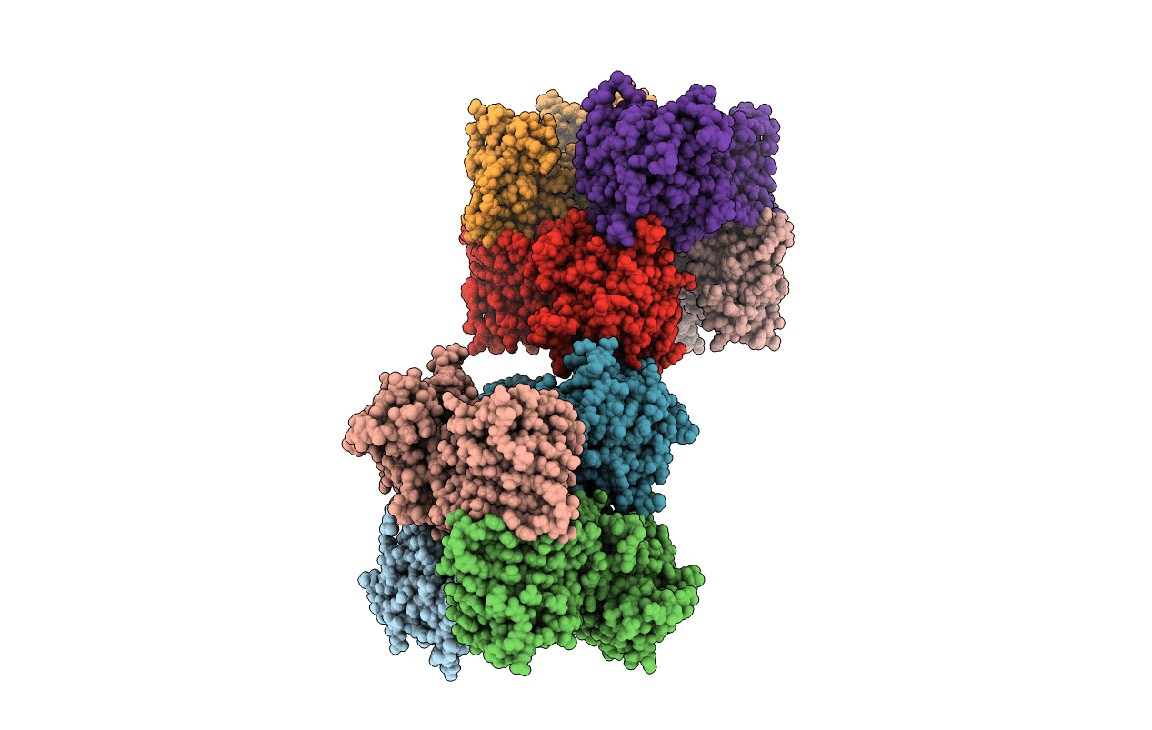 5MNI image