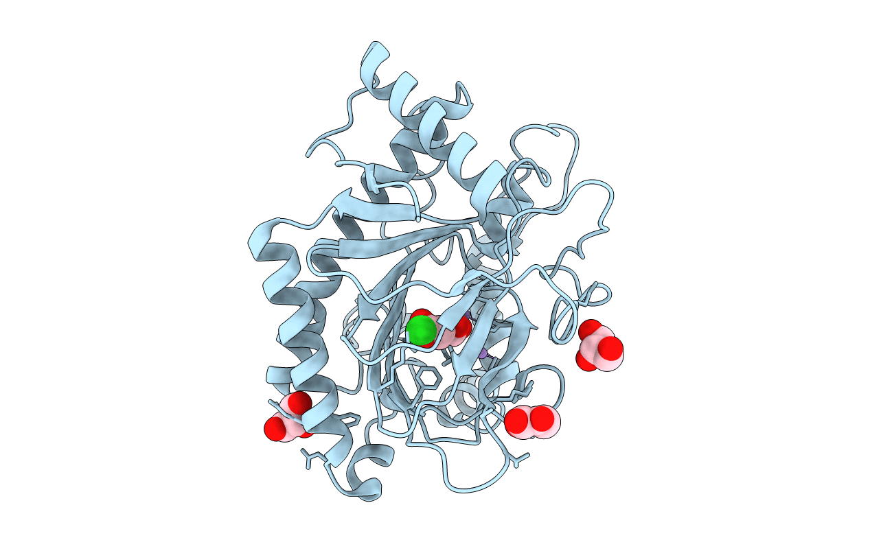 5MOF image