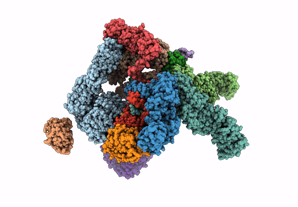 5MPE image
