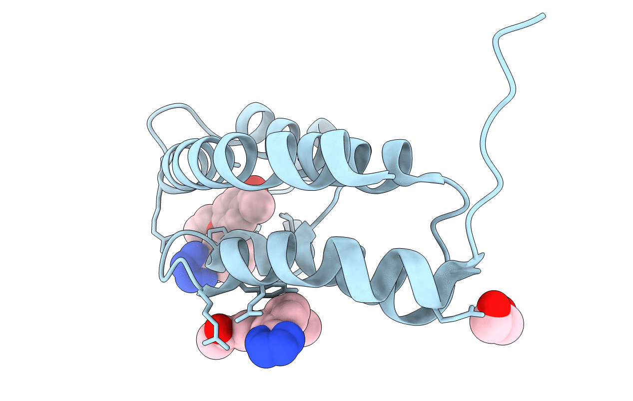 5MPN image