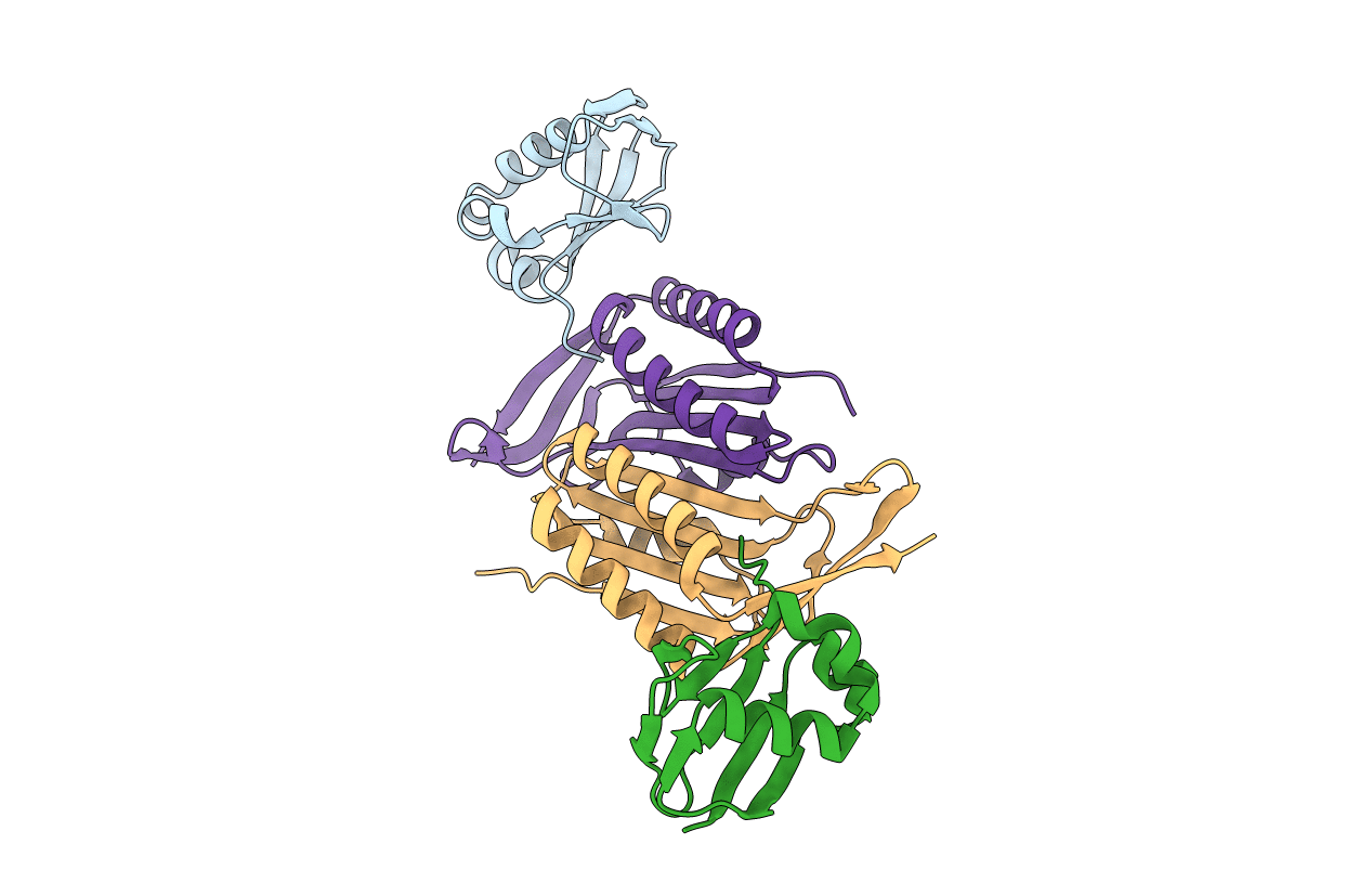5MPO image