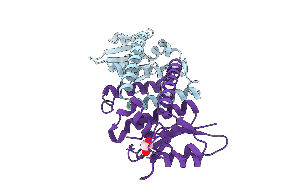 5MQ8 image