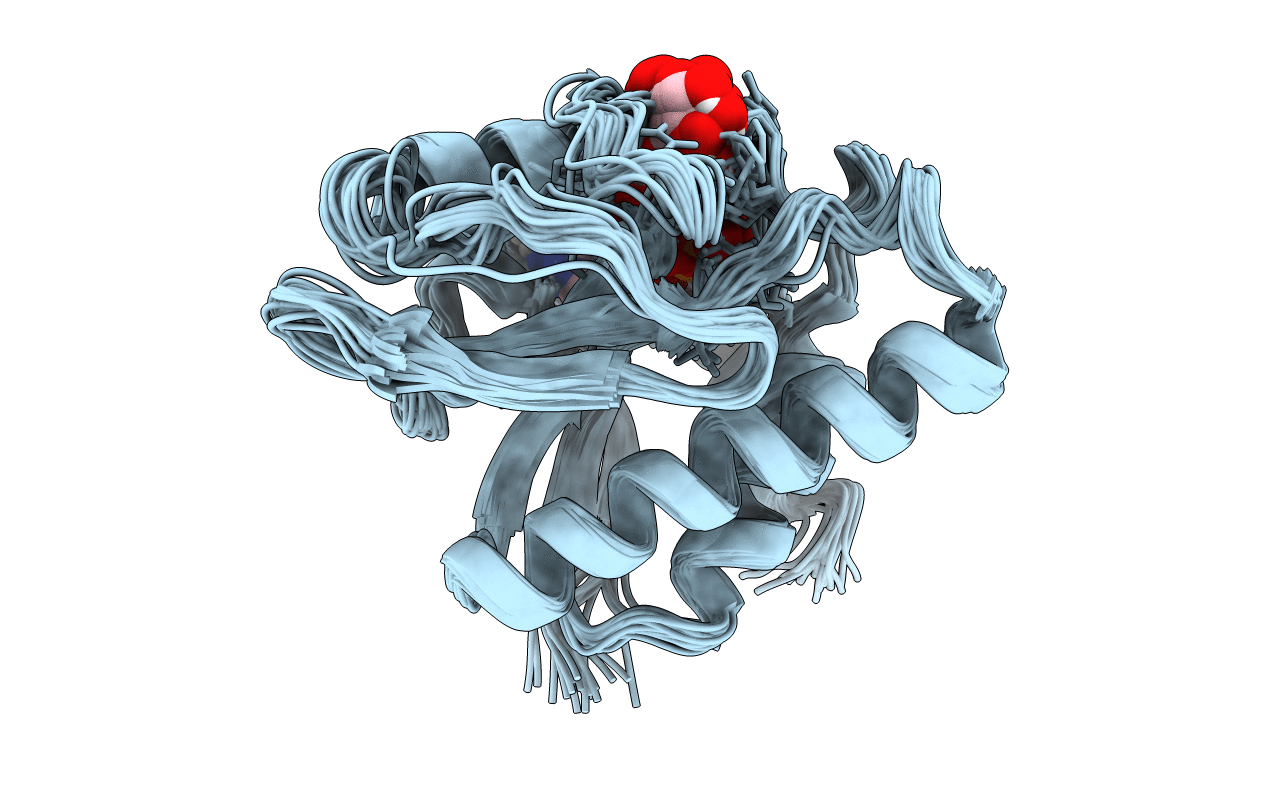 5MQX image