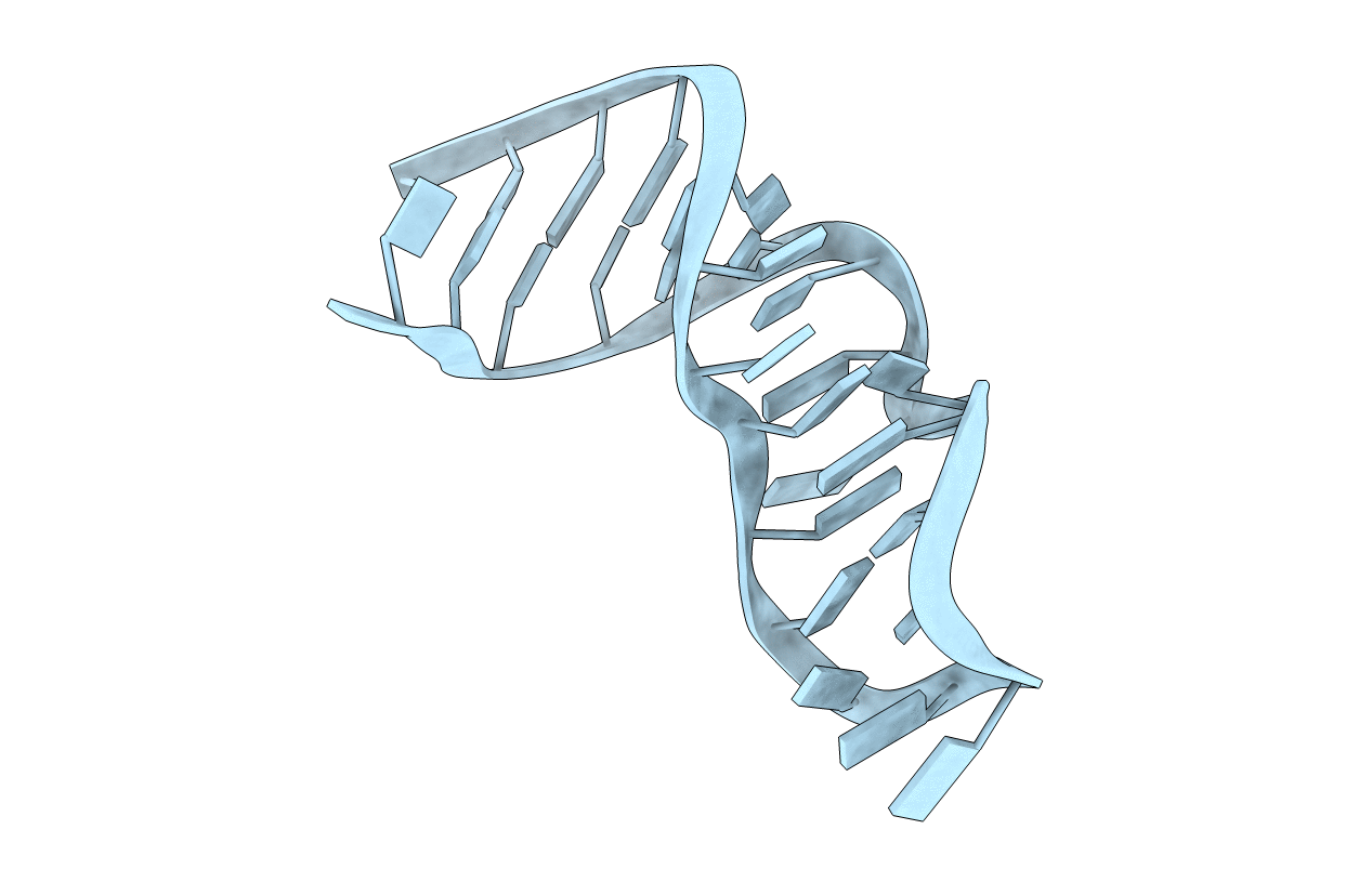 5MRX image