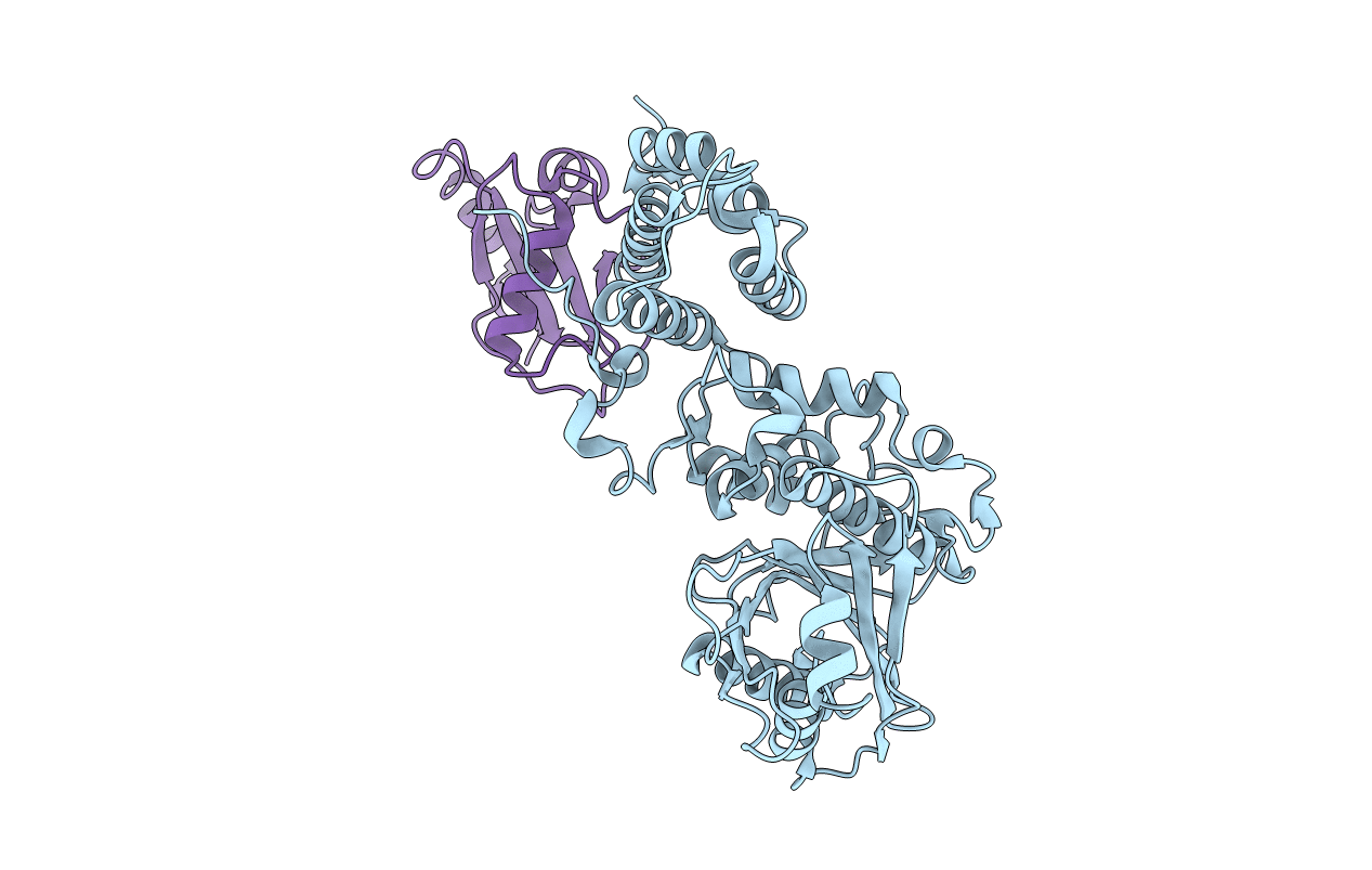 5MS2 image