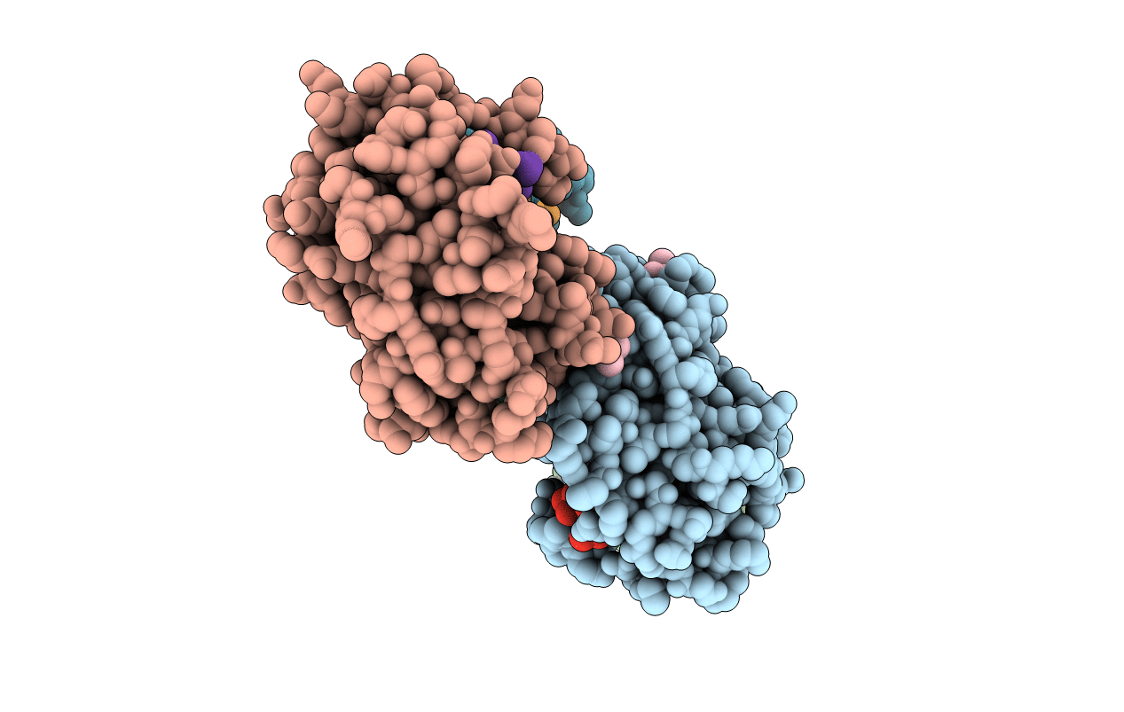 5MS4 image