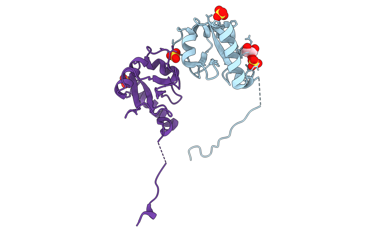 5MS5 image
