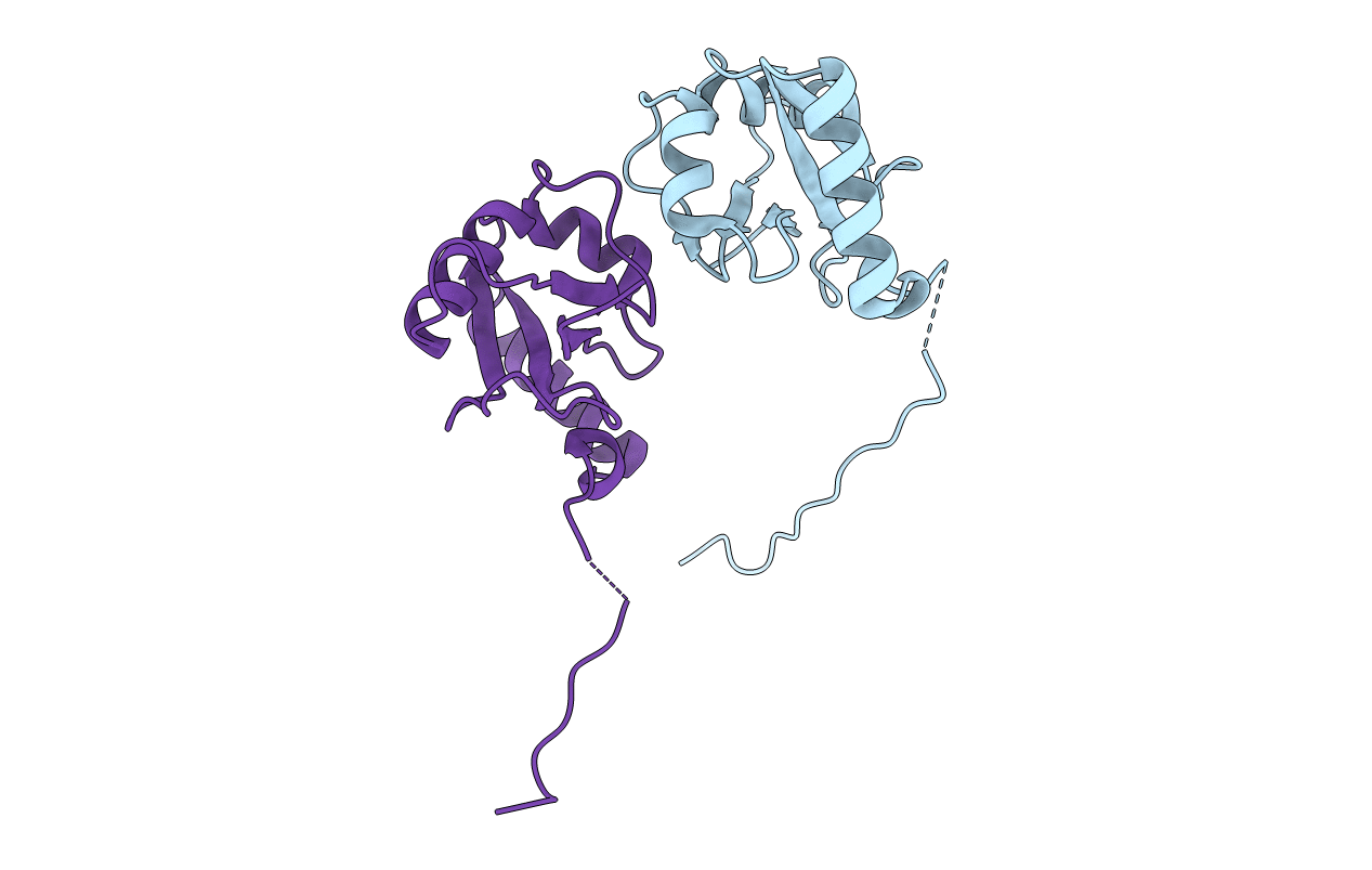 5MS6 image