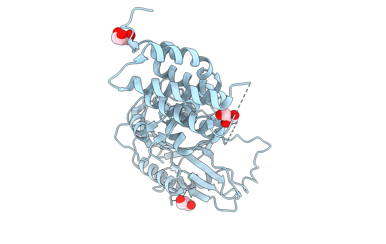 5MS7 image