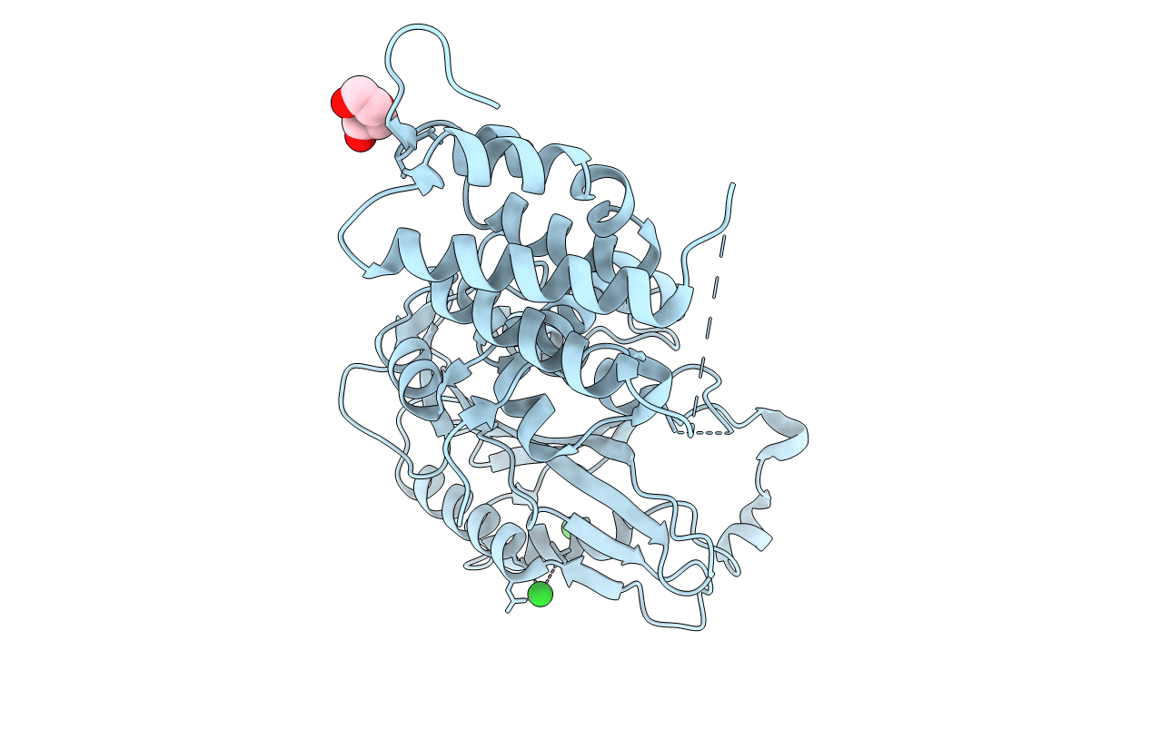5MS8 image