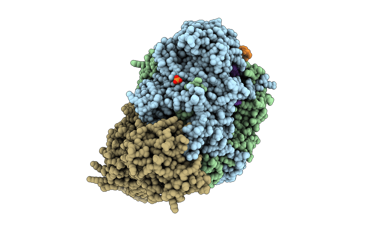 5MSG image