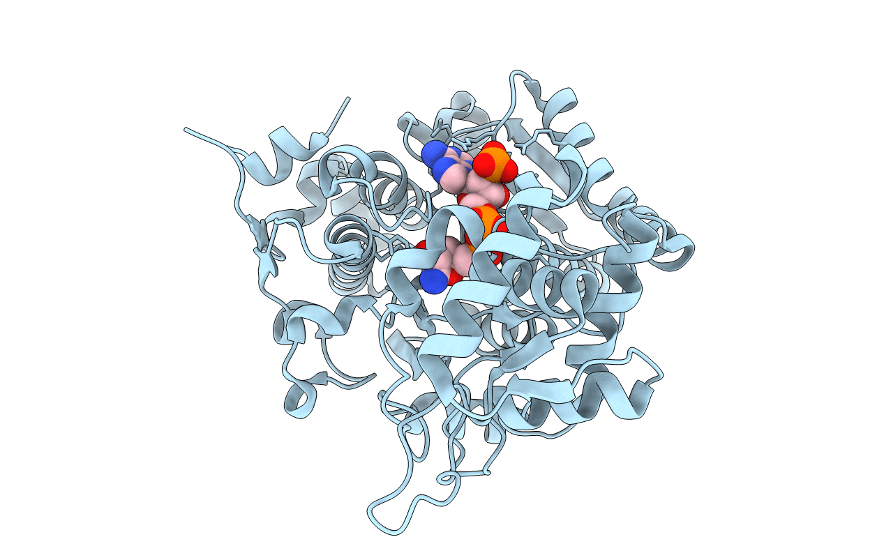 5MSO image