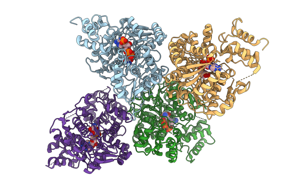 5MSR image