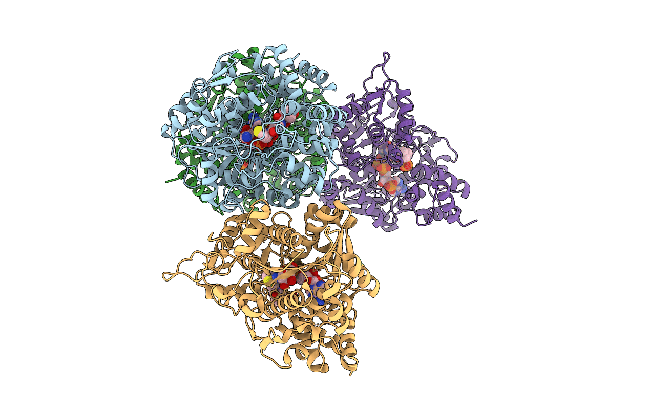 5MSV image