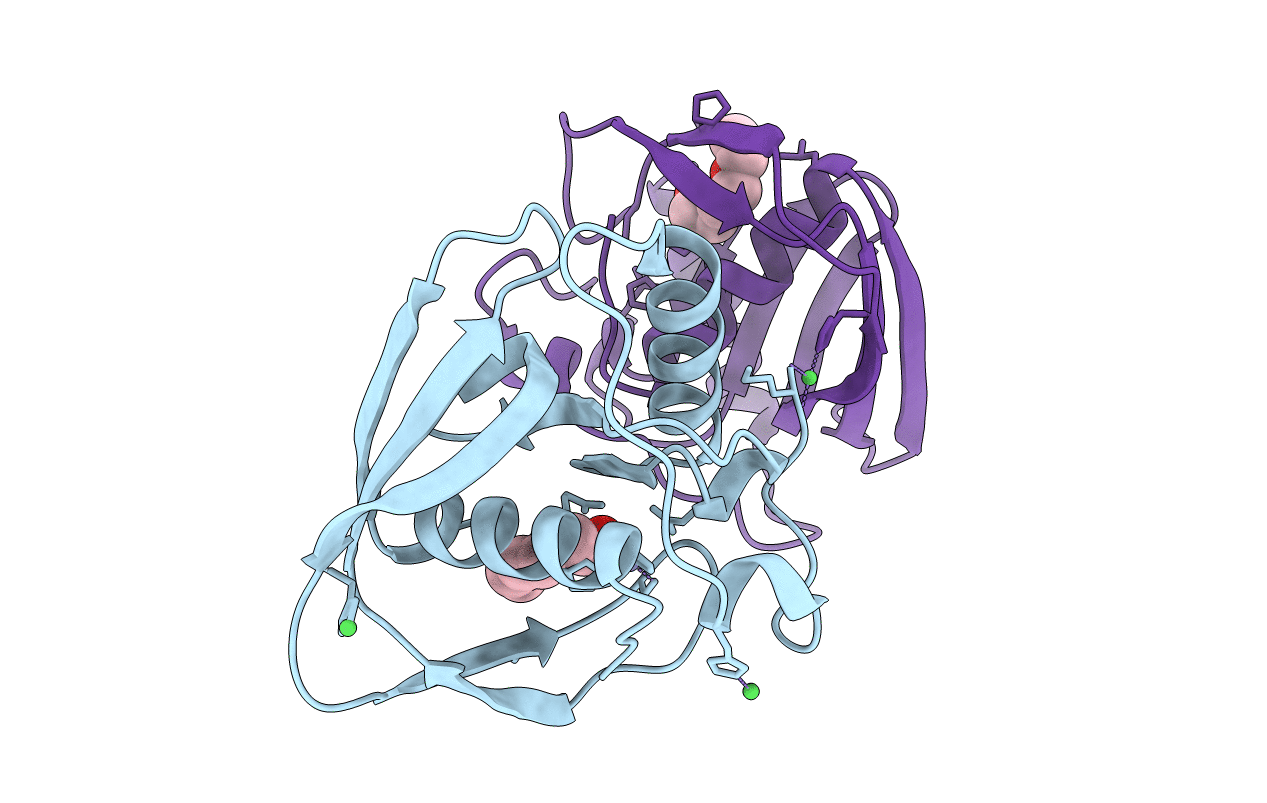 5MTD image
