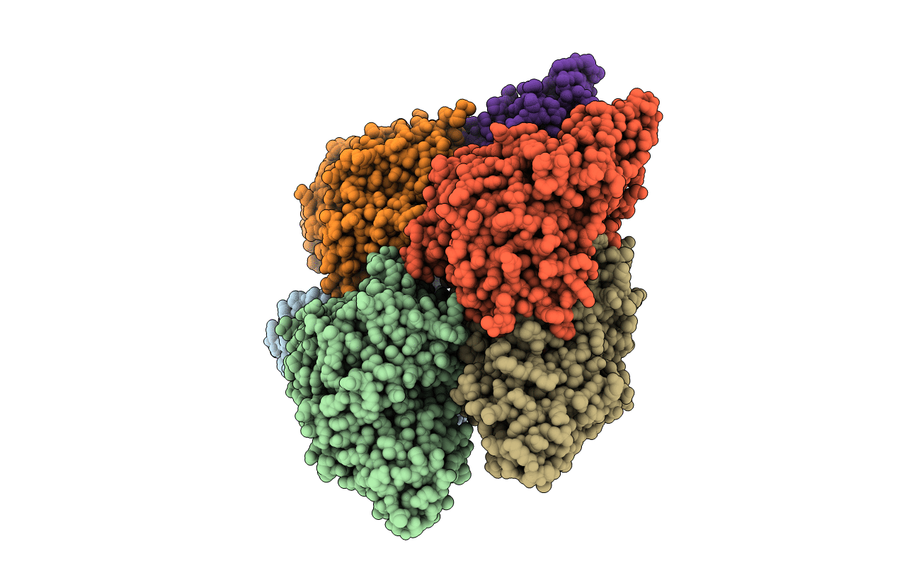 5MUX image