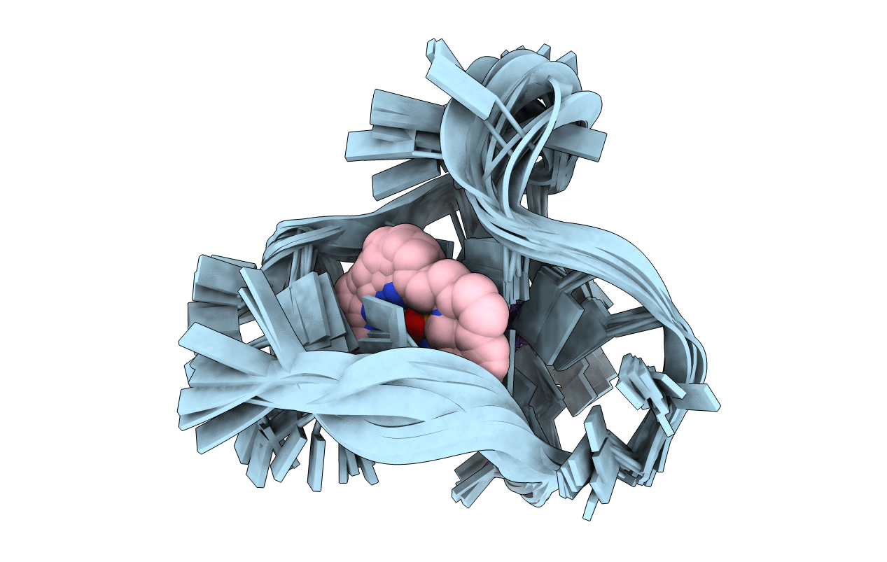 5MVB image