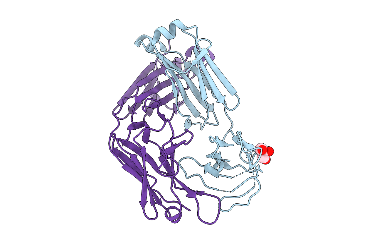 5MVG image