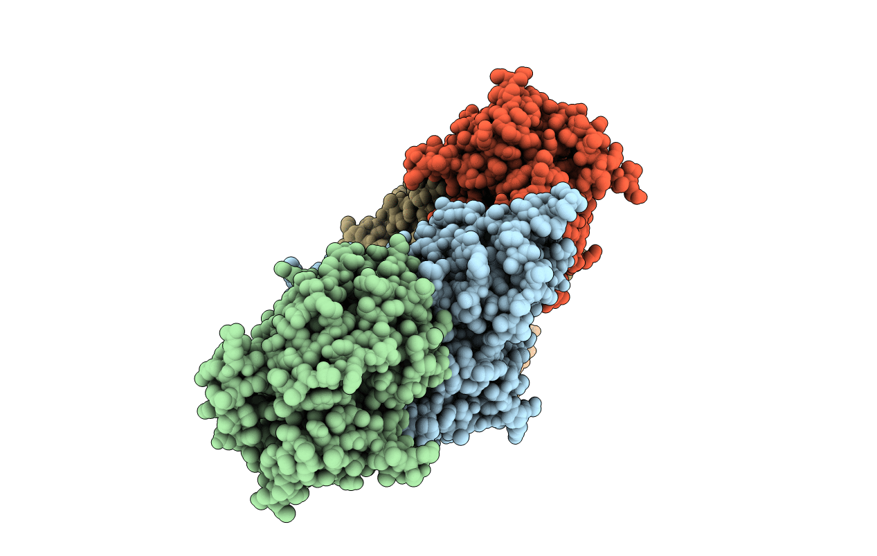 5MVI image