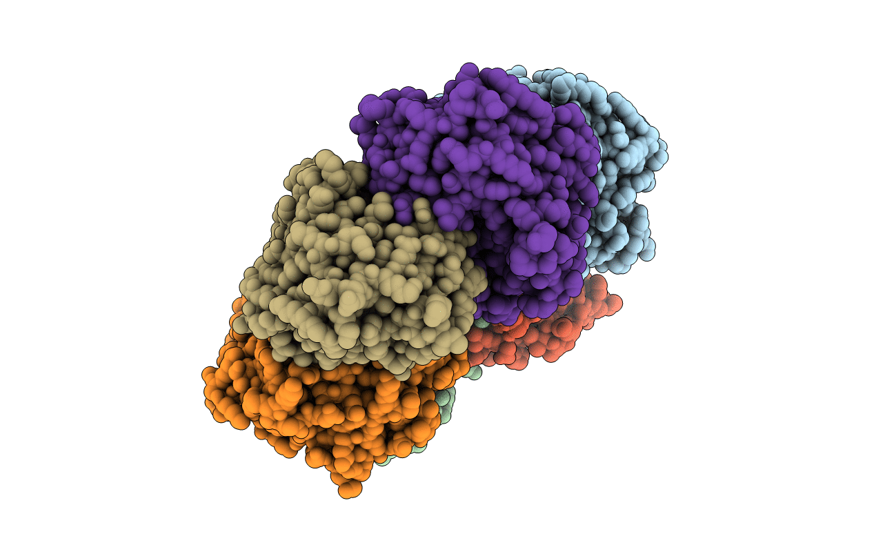 5MX4 image