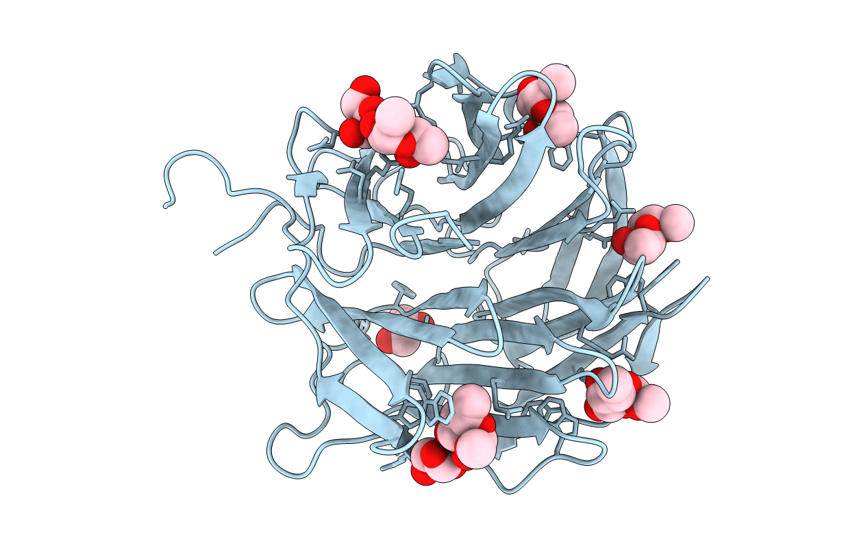 5MXC image