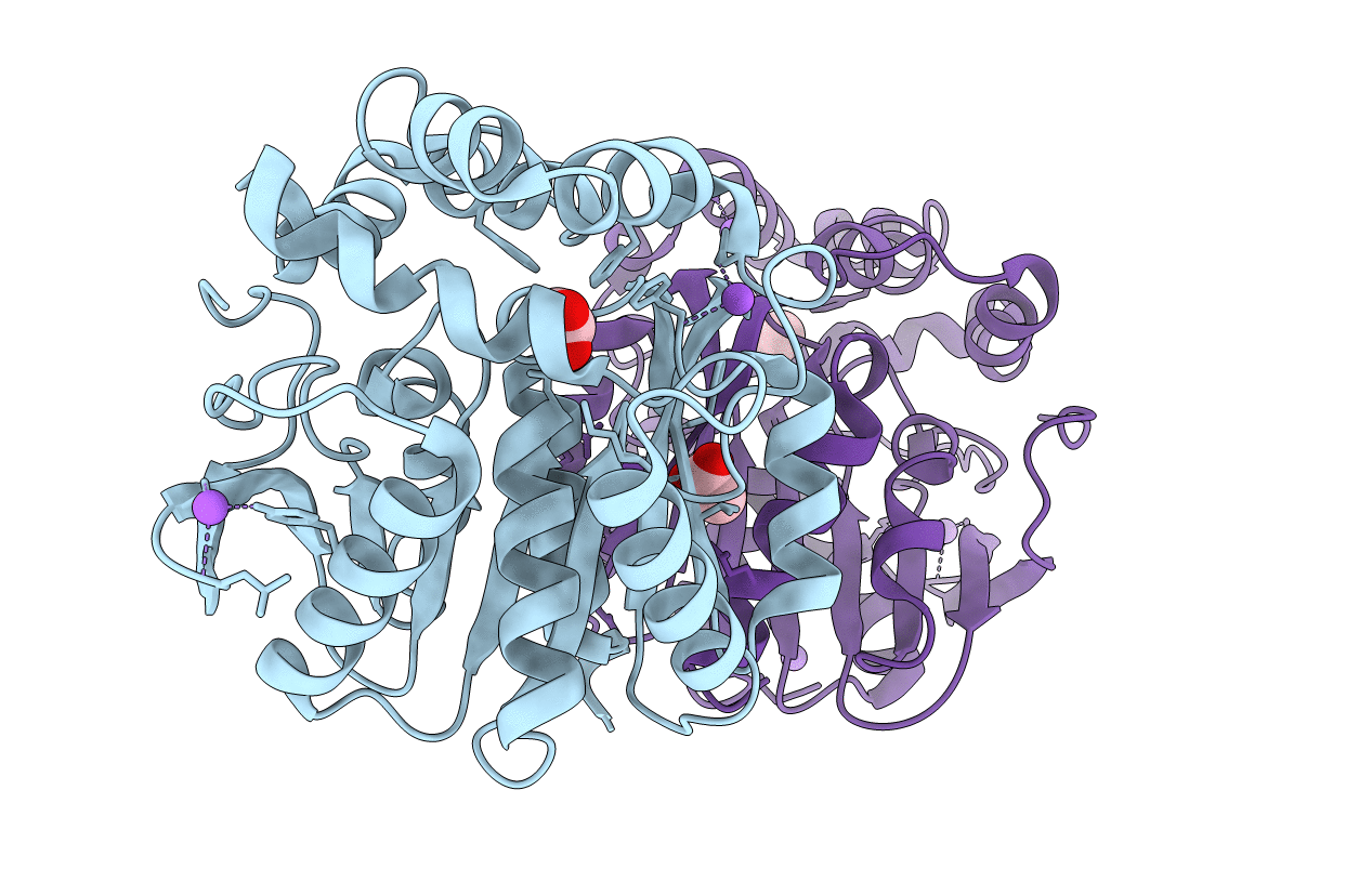 5MXP image