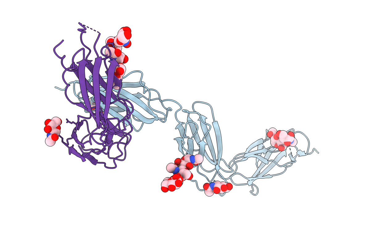 5MYA image