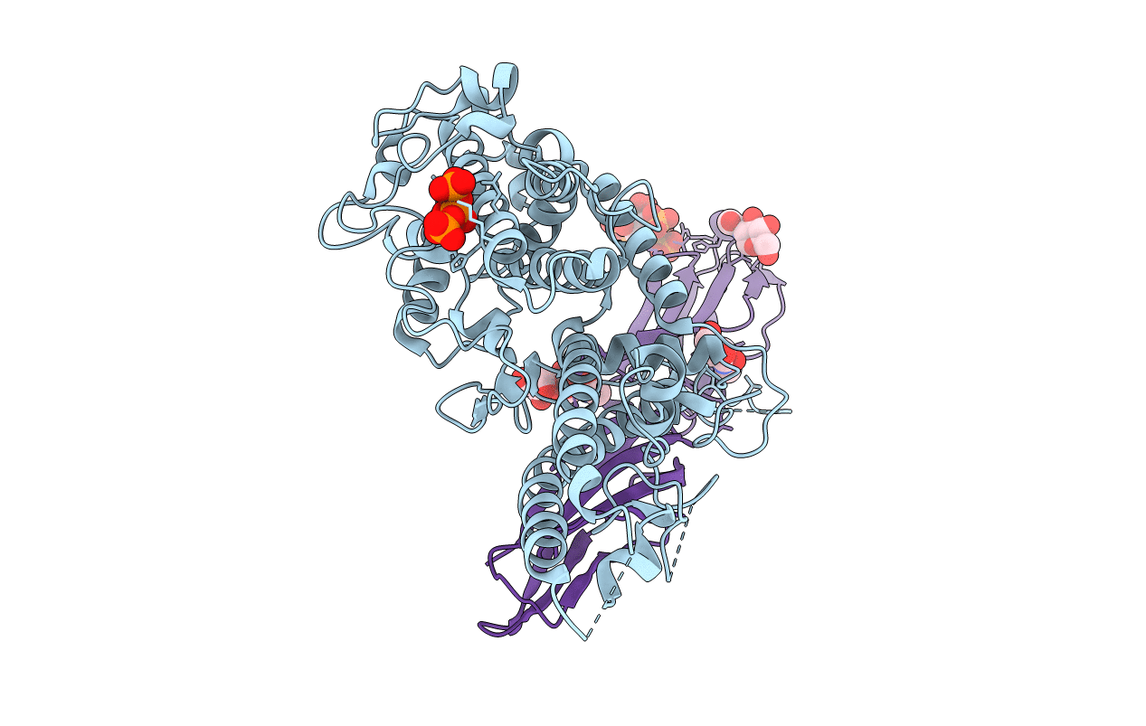 5MZA image