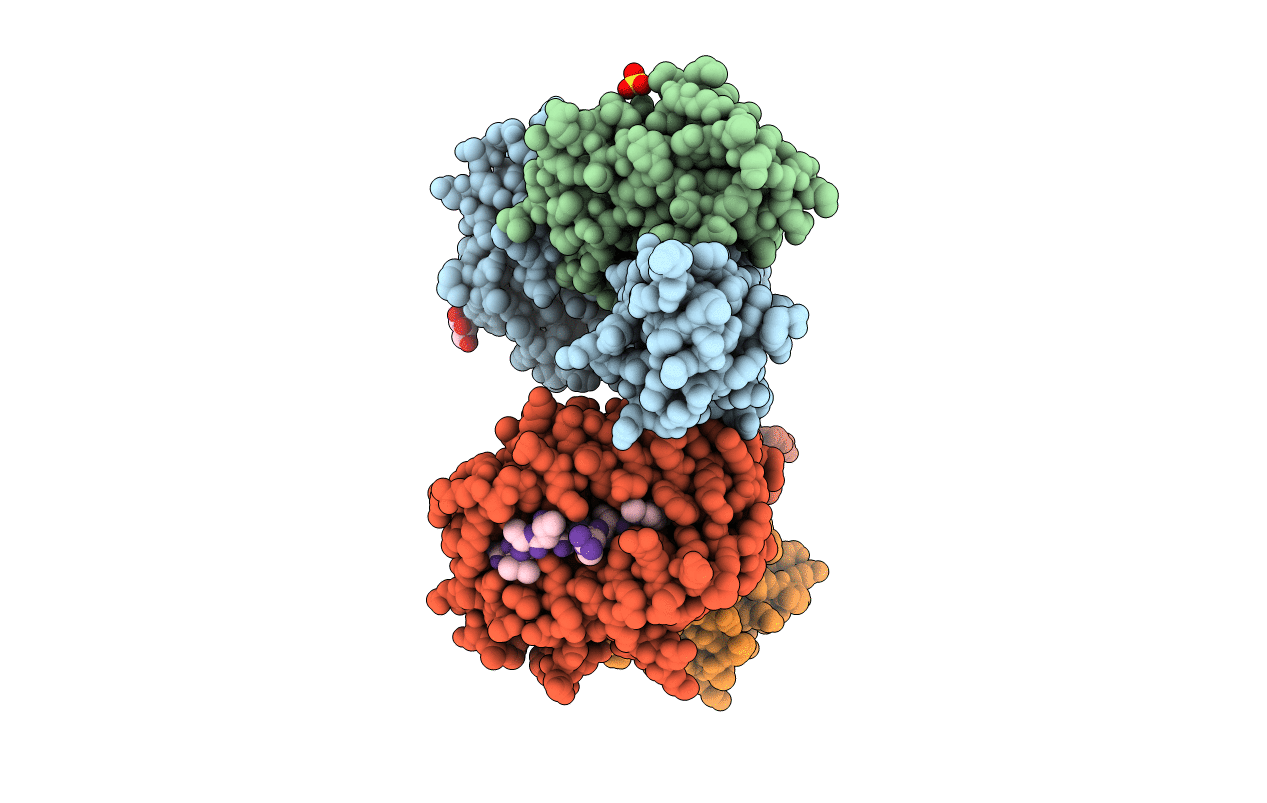 5MZM image