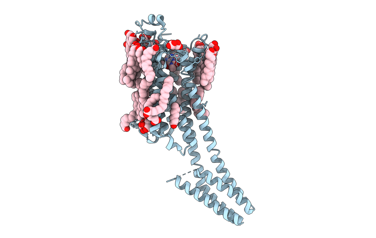5MZP image