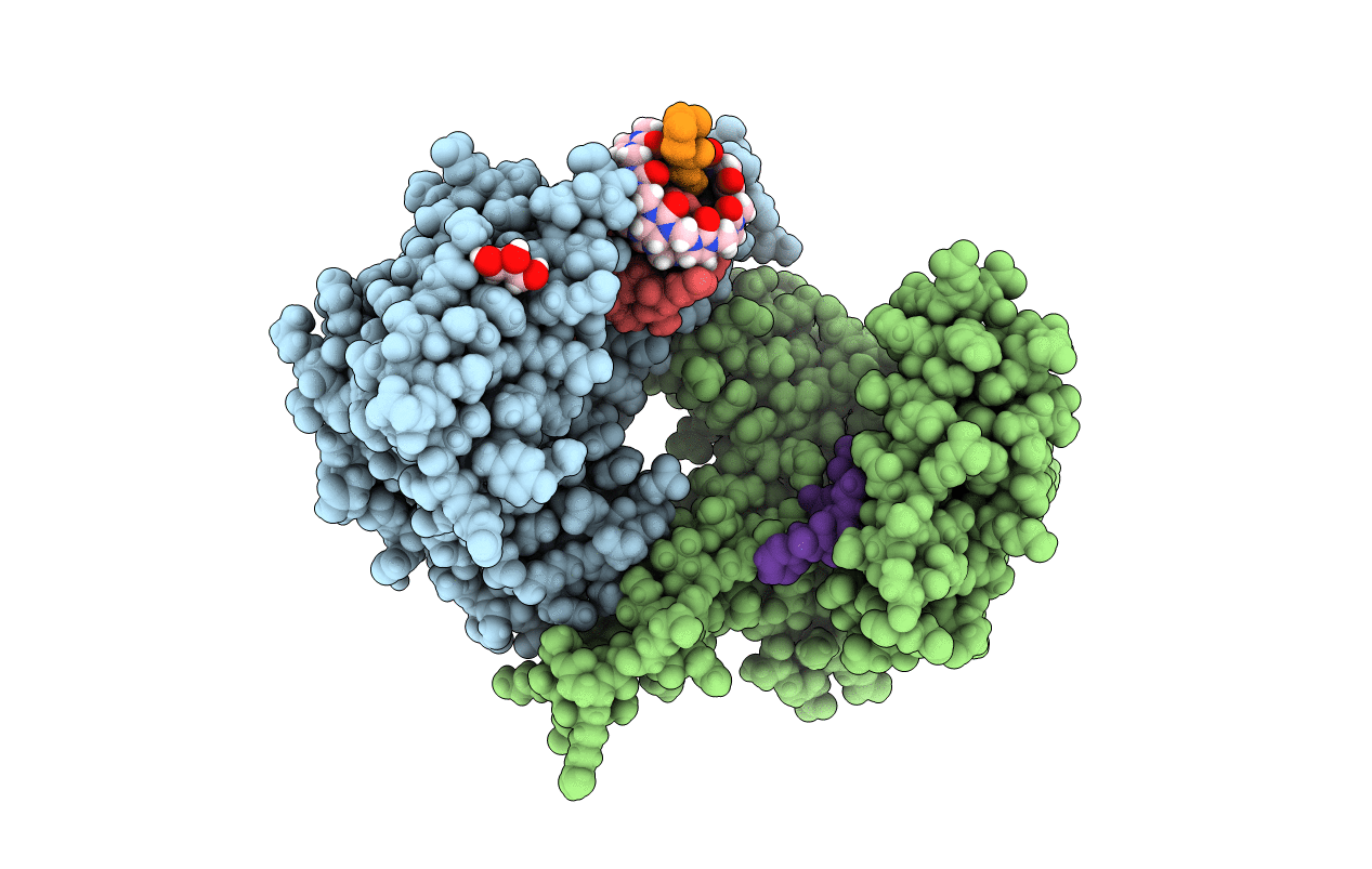 5N10 image