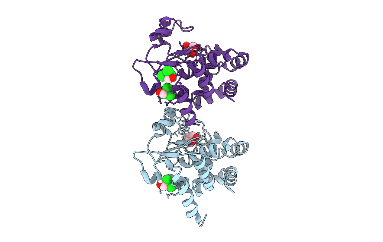 5N12 image