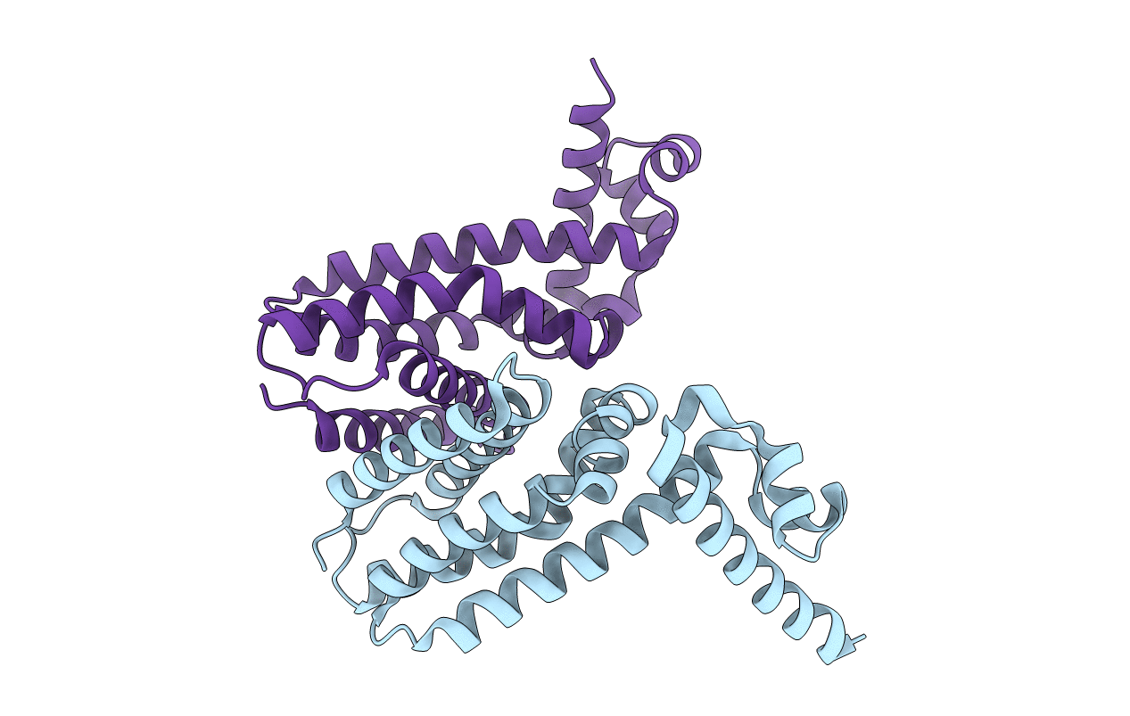 5N1C image