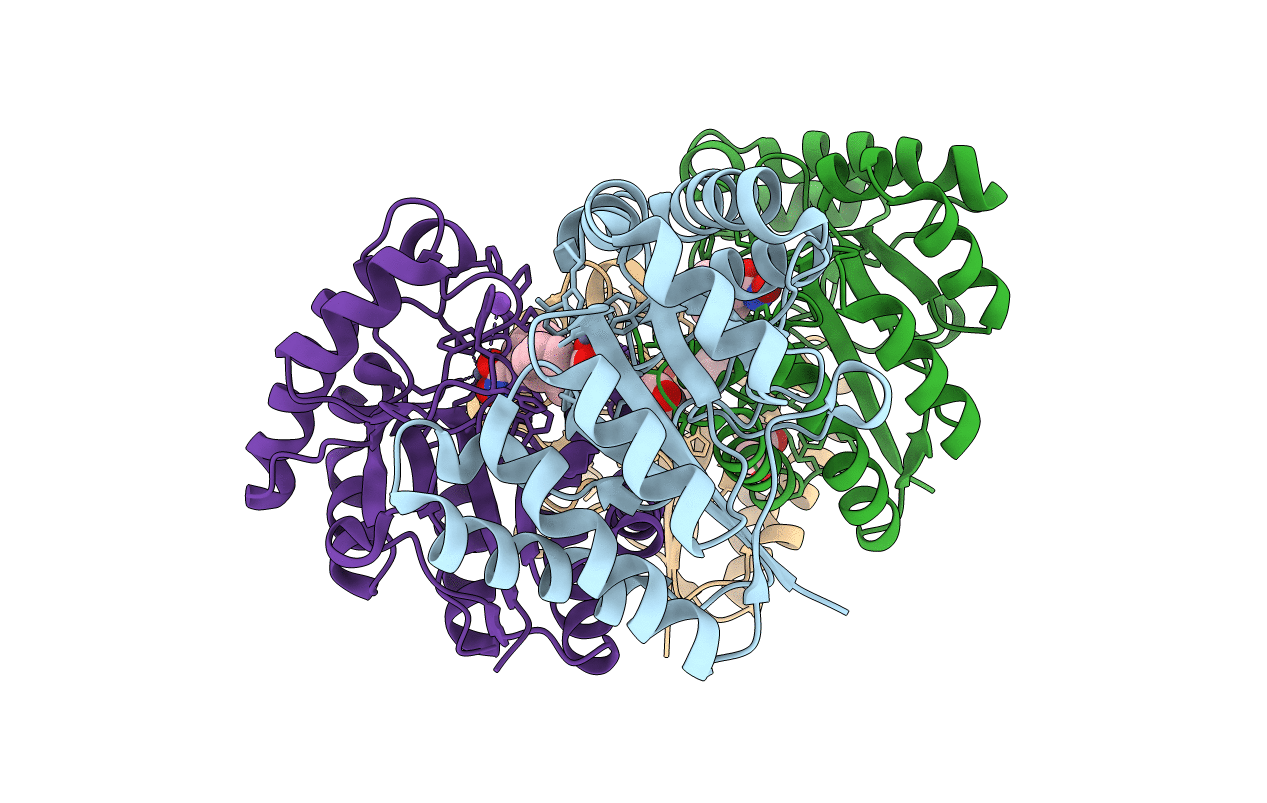 5N1P image