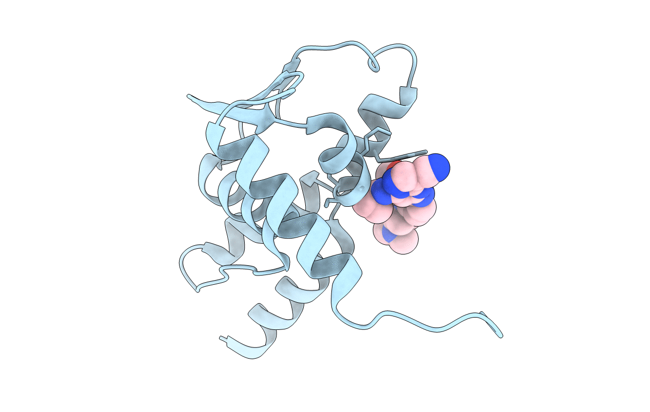 5N20 image