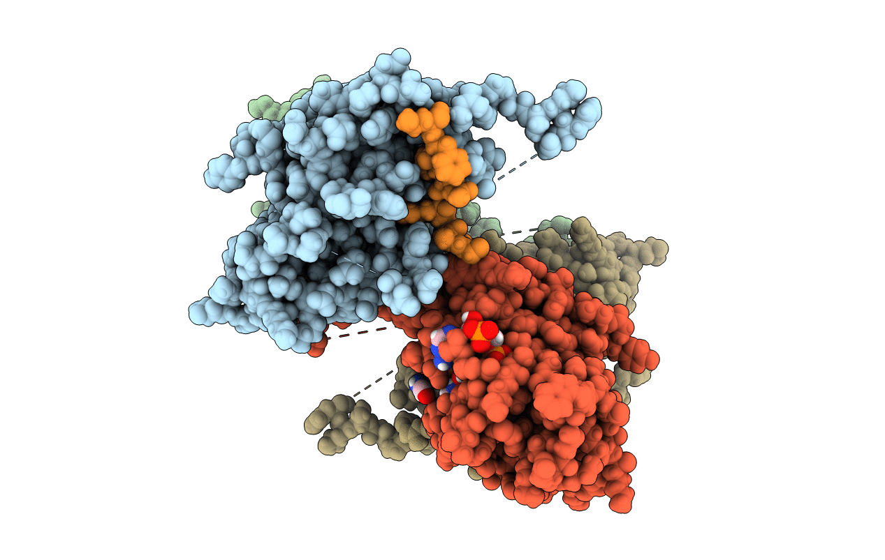 5N22 image