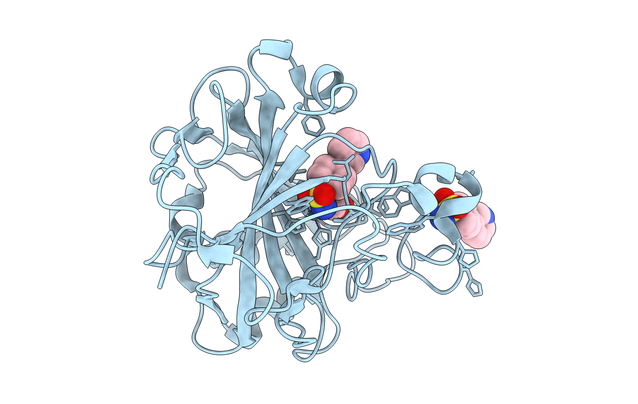 5N25 image
