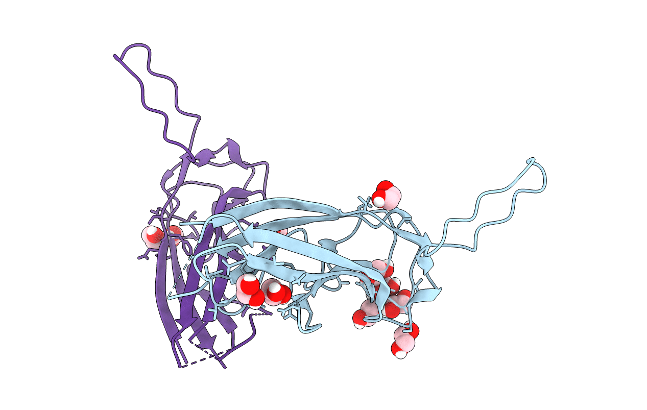 5N2B image