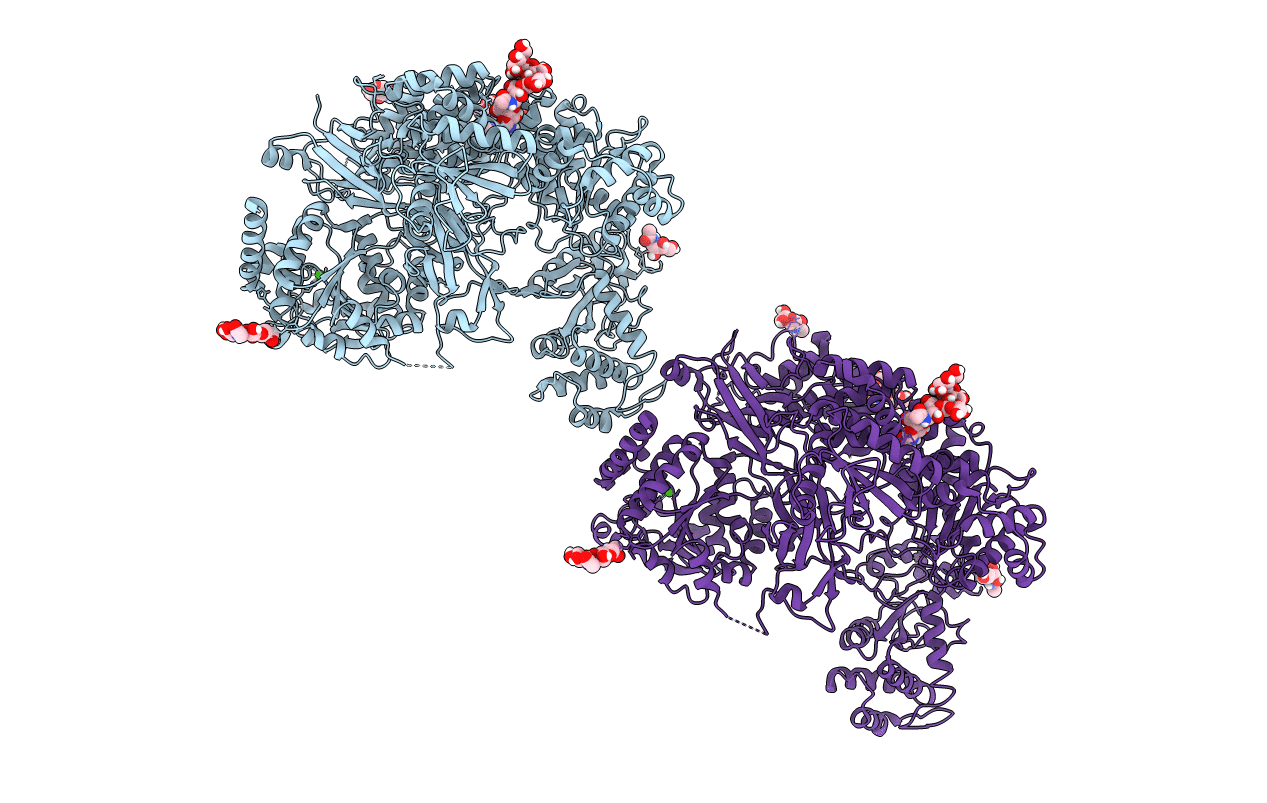 5N2J image