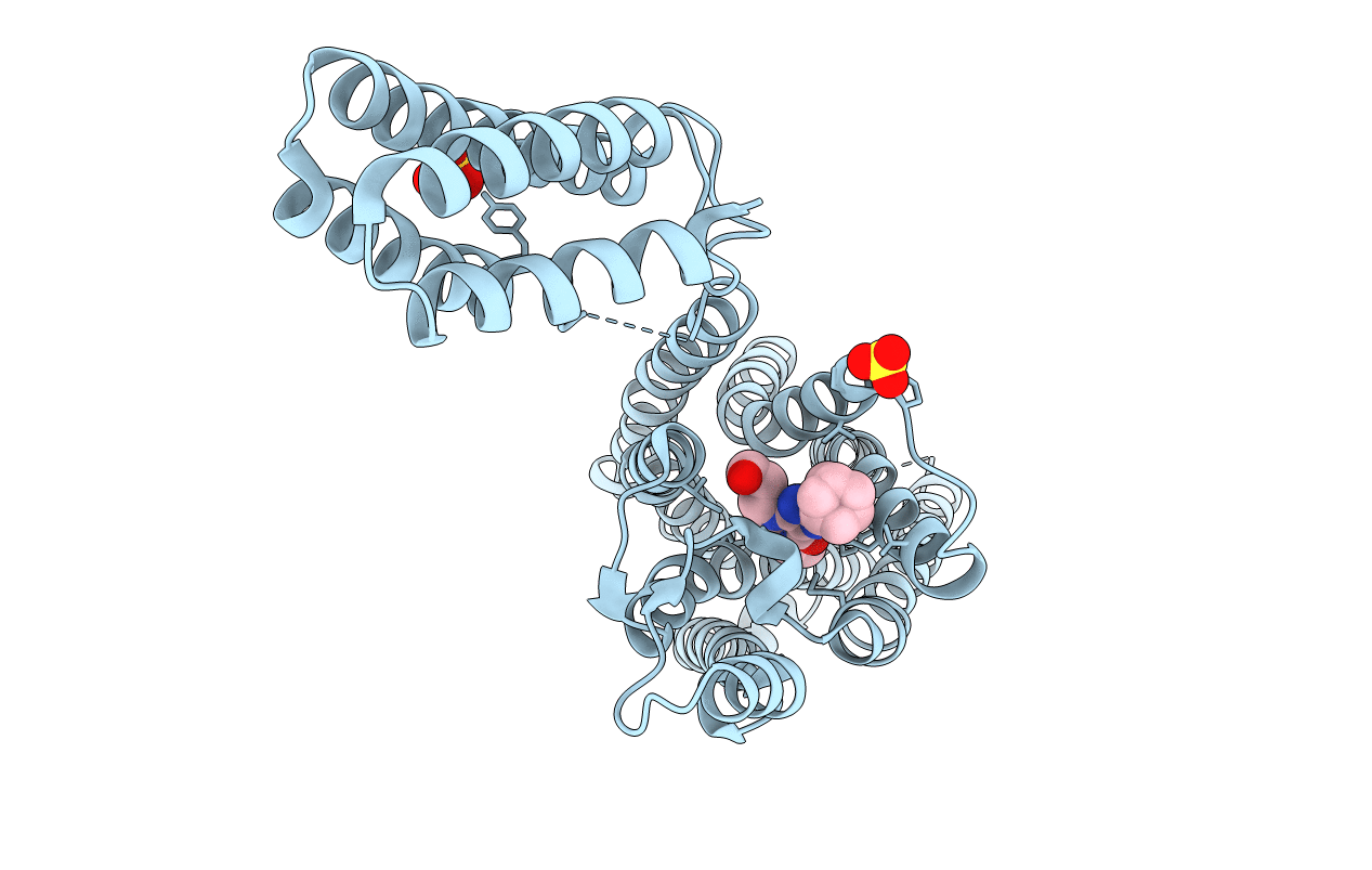5N2S image