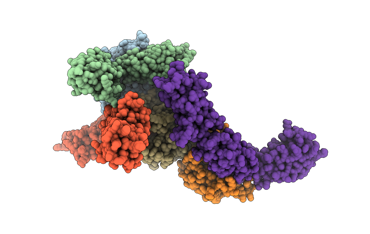 5N47 image