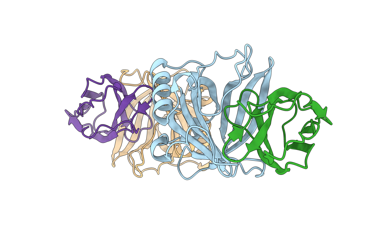 5N48 image